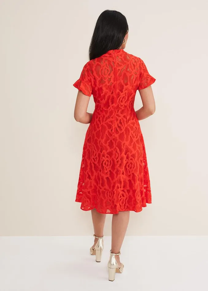 Women Phase Eight Occasion Dresses Petite Lulu Lace Midi Dress Fire