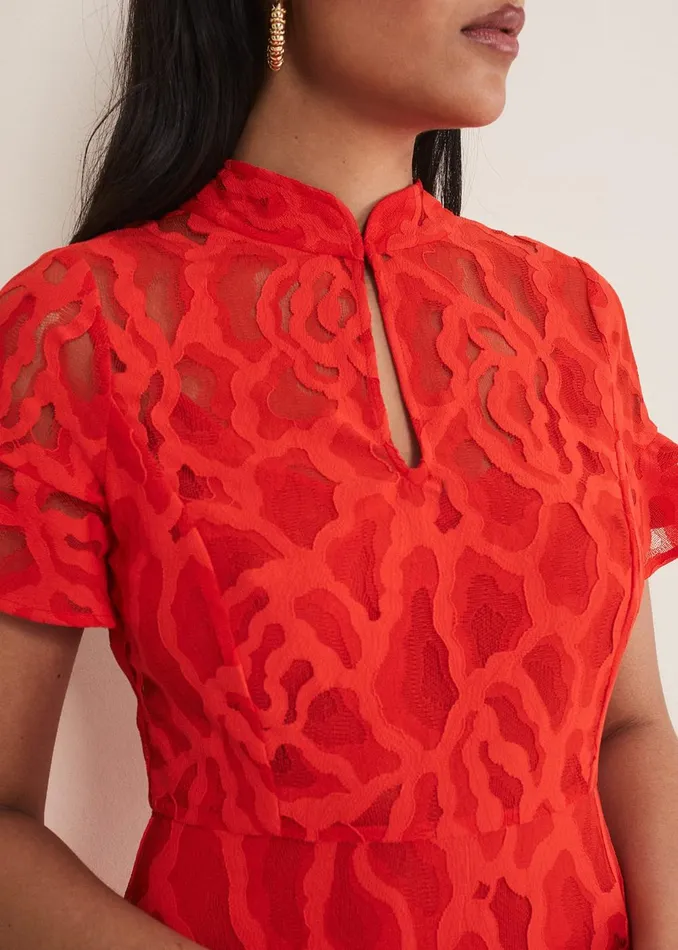 Women Phase Eight Occasion Dresses Petite Lulu Lace Midi Dress Fire