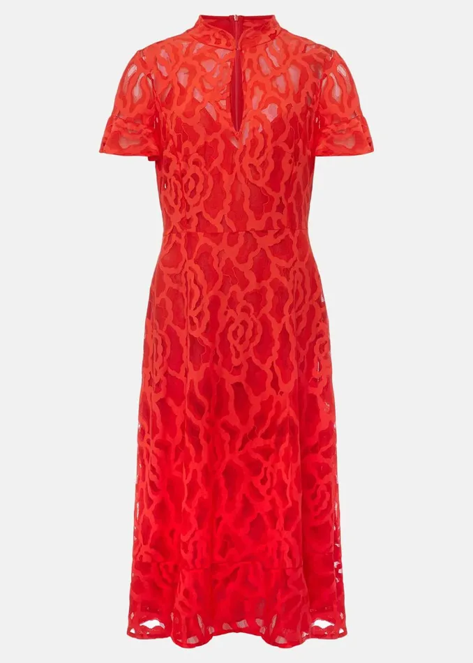 Women Phase Eight Occasion Dresses Petite Lulu Lace Midi Dress Fire