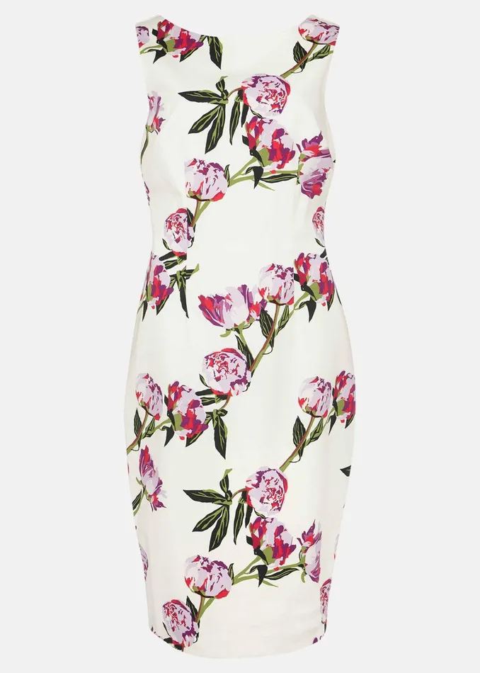 Women Phase Eight Occasion Dresses Rochella Peony Print Dress Ivorymulti