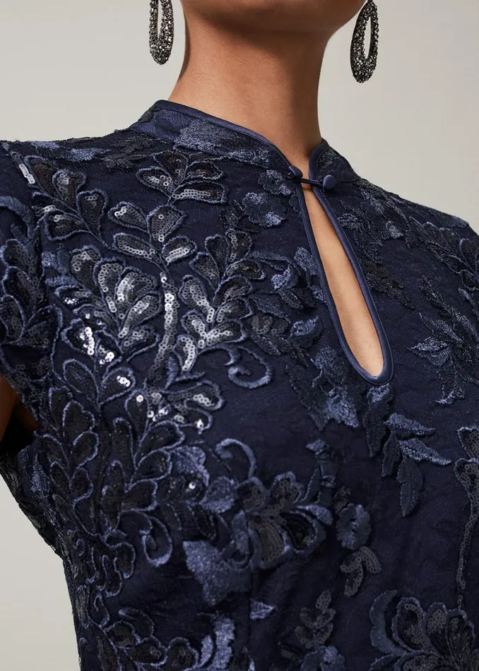 Women Phase Eight Occasion Dresses Sofia Embroidered Sequin Dress Blackmidnight