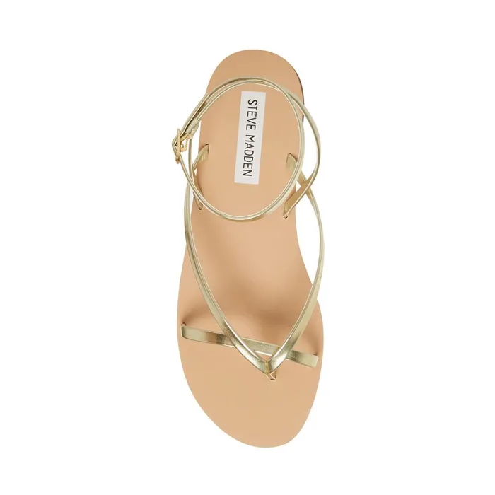 Womens Amuse Gold Steve Madden Sandals