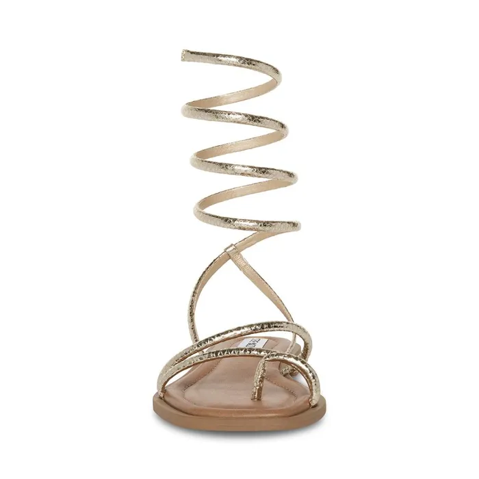 Womens Antelle Gold Snake Steve Madden Sandals