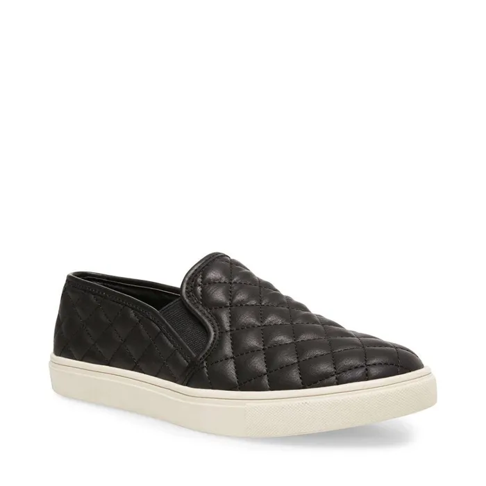 Womens Ecentrcq Black Steve Madden Sneakers