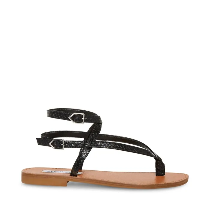Womens Frannie Black Snake Steve Madden Sandals