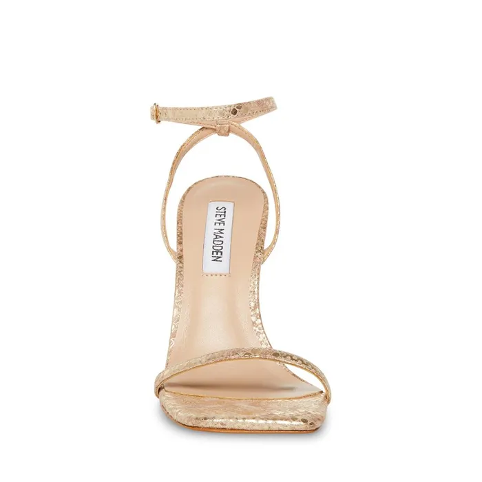 Womens Midnight Gold Snake Steve Madden Heels